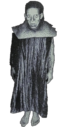 The Warden in Blister Online