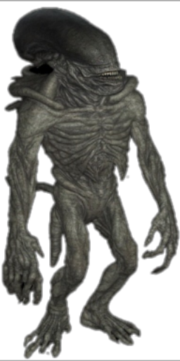 Hulking Xeno in Blister Online