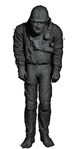 Raider in Blister Online