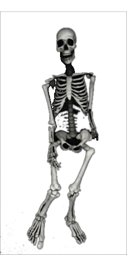 Skeleton in Blister Online