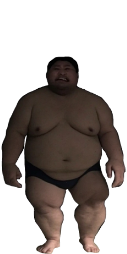 Sumo in Blister Online