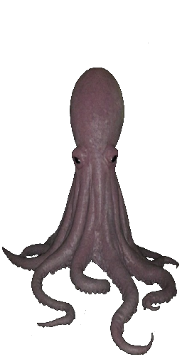 The Kraken in Blister Online